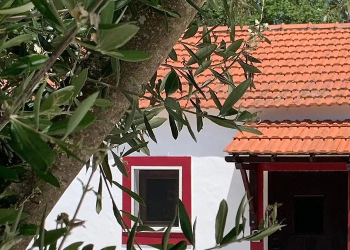 Monte Do Pereiro