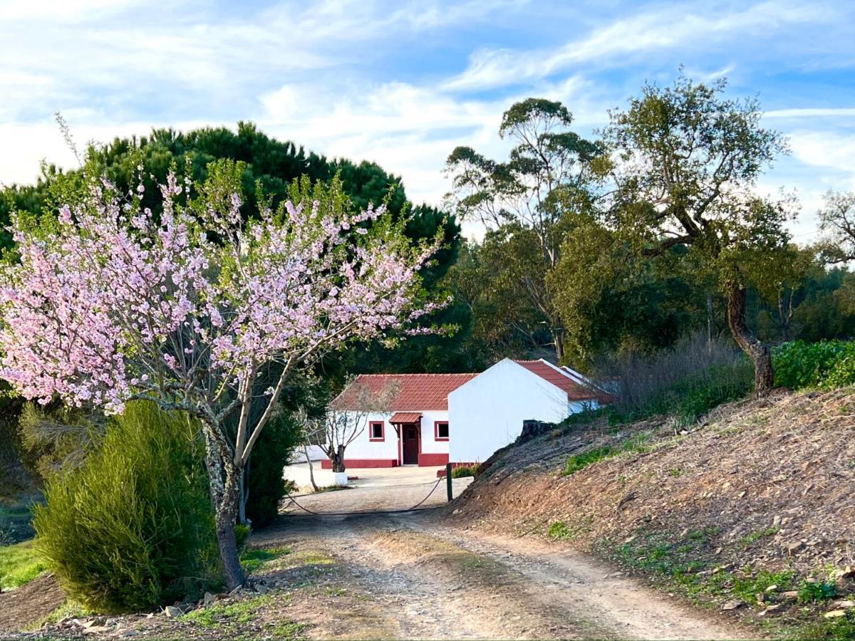 Monte Do Pereiro Holiday home