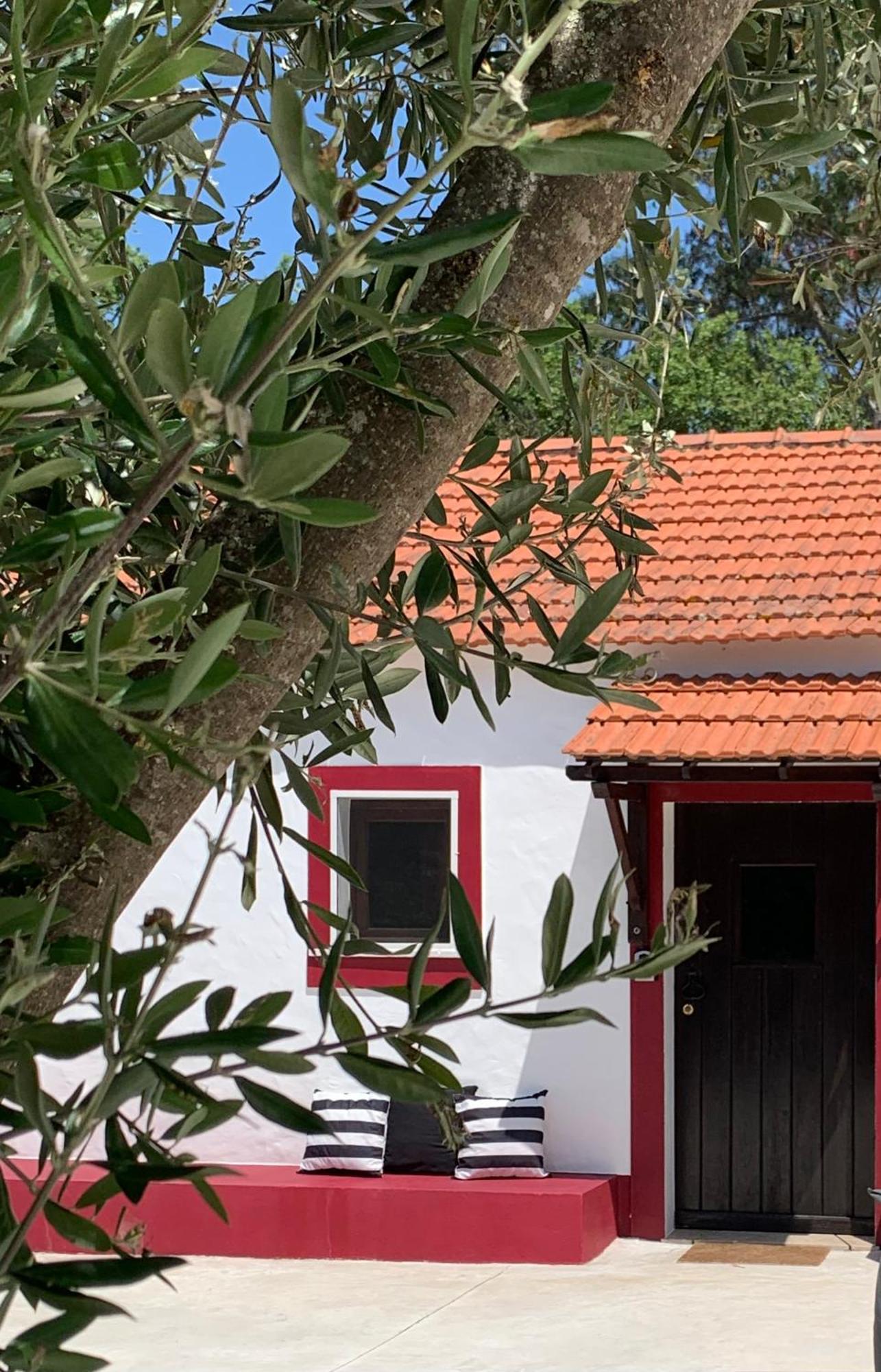 Holiday home Monte Do Pereiro Santiago do Cacem